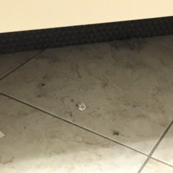 Cato - Trash in fitting room