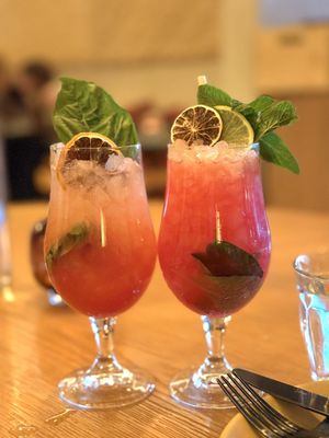 Élephante Scottsdale by null