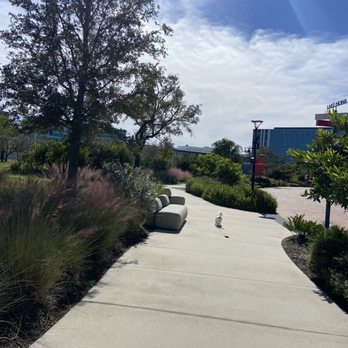Lake Nona Wave Hotel - Hotels Near Me - Orlando, Florida Lake Nona Wave Hotel - Hotels Near Me - Orlando, Florida