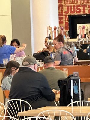 Sycamore Brewing by null