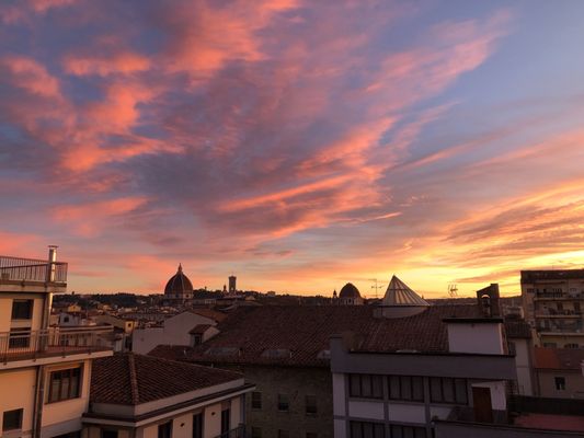 PLUS Florence by null