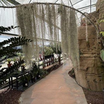 Rainforest Flora - Nurseries & Gardening Near Me - Torrance, California Rainforest Flora - Nurseries & Gardening Near Me - Torrance, California