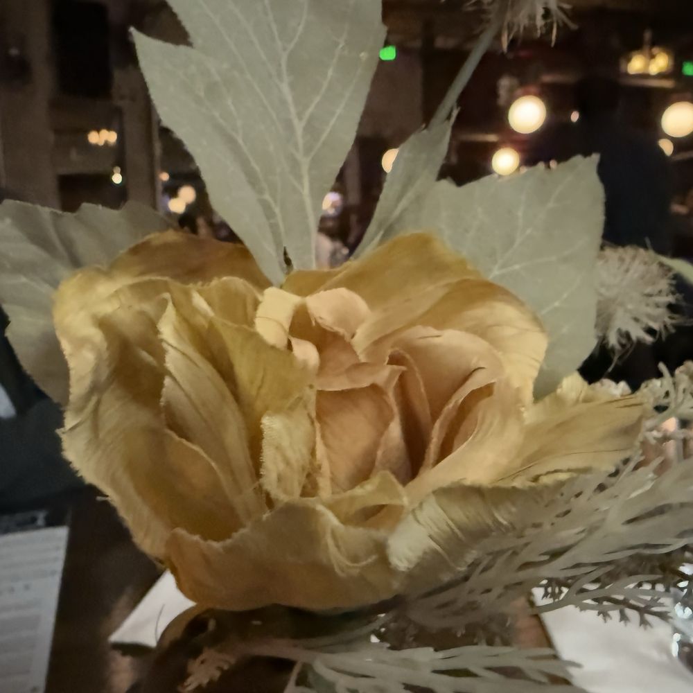 Bosscat Kitchen & Libations - Bars Near Me - Orange, California Bosscat Kitchen & Libations - Bars Near Me - Orange, California