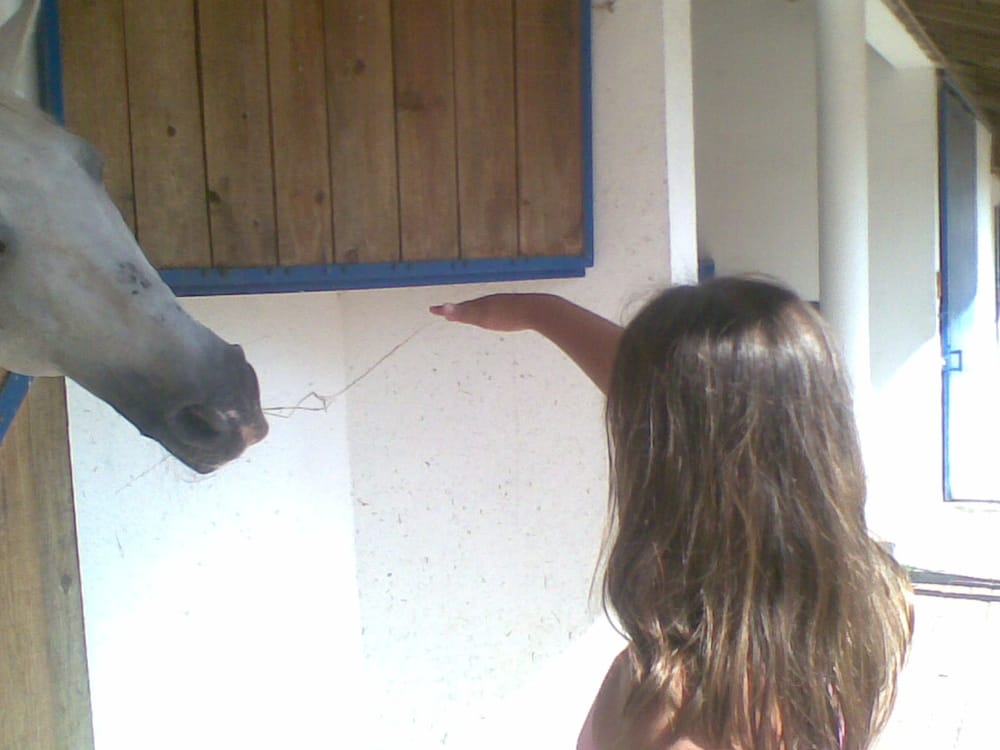 Quinta pedagógica dos Olivais