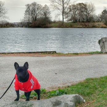 Humber Bay Shores Park - Great place to go jogging - Dog Parks Near Me - Toronto, Ontario