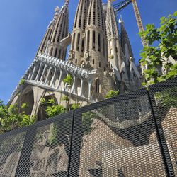 Shore Excursions Group