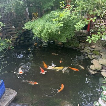 Indochine - Koi pond - Asian Fusion Near Me - Wilmington, North Carolina