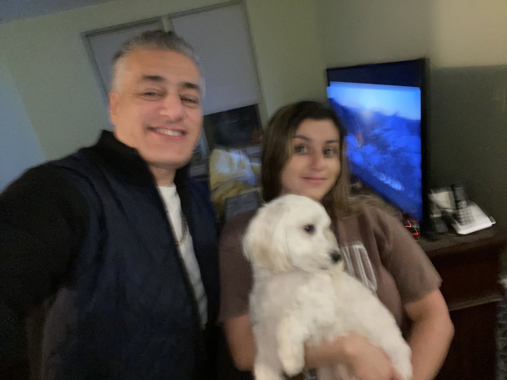 ALL GONE CARPET CLEANING Staten Island, New York Carpet Cleaning