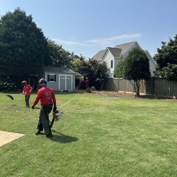 Solid Roots Tree Service - Tree Services Near Me - Wilmington, North Carolina Solid Roots Tree Service - Tree Services Near Me - Wilmington, North Carolina