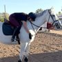 Photo of Sweetwater Stables