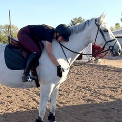 Sweetwater Stables