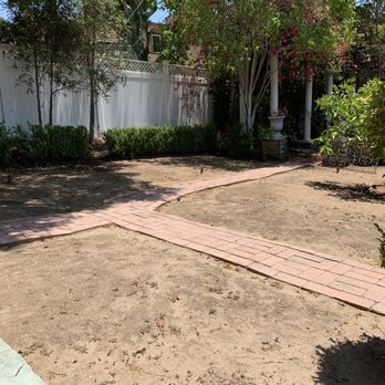 Paradise Lawns - Pre lawn back yard. - Lawn Services Near Me Paradise Lawns - Pre lawn back yard. - Lawn Services Near Me