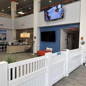 Paw Sweet Paw Pet Resorts - Live stream - Pet Boarding Near Me - Irvine, California