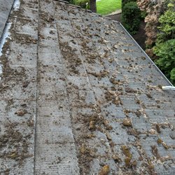 Dou-Glass - Roof Cleaning.