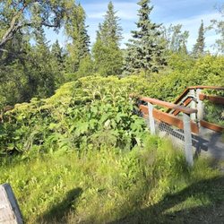 Clam Gulch Campground - Stairs from the campground proper to the free beach below