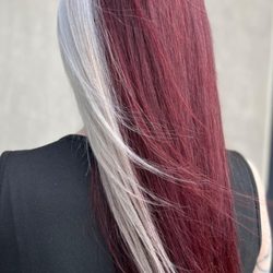 Salon Alchemy