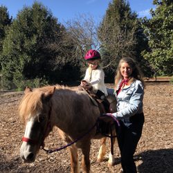 Ponies R US