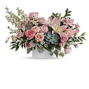 Betty J's Florist - What I ordered. (Note premium size selection) - Florists Near Me - Winter Garden, Florida Betty J's Florist - What I ordered. (Note premium size selection) - Florists Near Me - Winter Garden, Florida