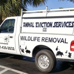 Animal Eviction Services
