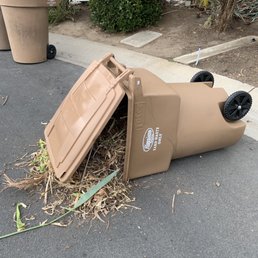 Yard waste 1
