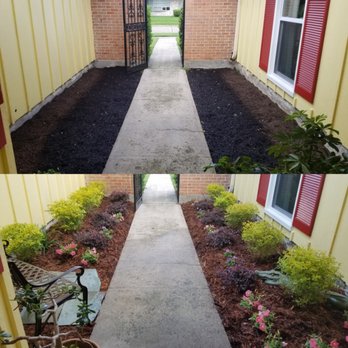 To's Lawn & Landscaping - Before and after - Landscaping Near Me - Belle Chasse, Louisiana To's Lawn & Landscaping - Before and after - Landscaping Near Me - Belle Chasse, Louisiana