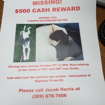 Veterinary Emergency Hospital - This sweet puppy needs to be home. Please call if you have seen her. - Veterinarians Near Me - Sioux Falls, South Dakota Veterinary Emergency Hospital - This sweet puppy needs to be home. Please call if you have seen her. - Veterinarians Near Me - Sioux Falls, South Dakota