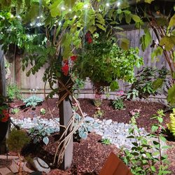 Fire Sparrow Landscaping