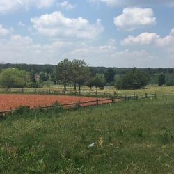 Celtic Cross Equestrian Center - If you zoom in, you can see the gorgeous rolling hills that you can see from the main barn. So beautiful.