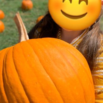 7 Acre Wood - Pumpkin patch - Parks Near Me - Conroe, Texas 7 Acre Wood - Pumpkin patch - Parks Near Me - Conroe, Texas
