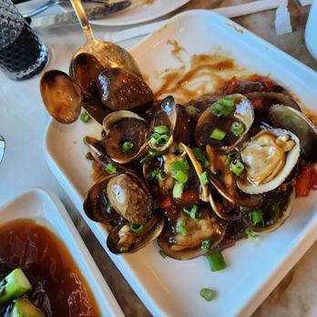Orient Garden - Clams in black bean sauce - Asian Fusion Near Me - New Hyde Park, New York Orient Garden - Clams in black bean sauce - Asian Fusion Near Me - New Hyde Park, New York