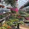Paquette Full of Posies Nursery gift card