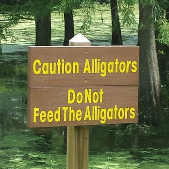 Jungle Gardens - You have been warned - Botanical Gardens Near Me - Avery Island, Louisiana