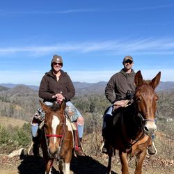 Sandy Bottom Trail Rides