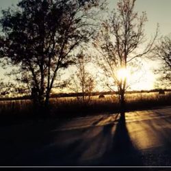 Conscious Rider - Experience Union Through Horses
Horse Riding: To ride consciously with grace, composure and joy.