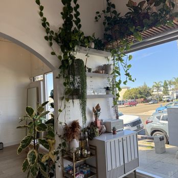 Aloha Glow + Lash - Spray Tanning Near Me - Oceanside, California Aloha Glow + Lash - Spray Tanning Near Me - Oceanside, California