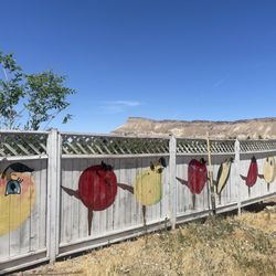 Anita's Pantry & Produce - This colorful art on the store's fence caught my attention while driving