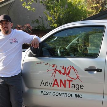 Advantage Pest Control - Pest Control Near Me - Roseville, California Advantage Pest Control - Pest Control Near Me - Roseville, California