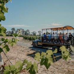 Left Coast Estate - Tour the vineyard in our vintage truck.