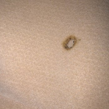 Guest Harbor Inn - Burns on blanket - Hotels Near Me - Los Angeles, California