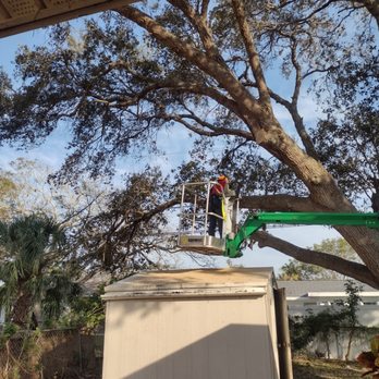 321 Cutz Tree Service - Tree Services Near Me 321 Cutz Tree Service - Tree Services Near Me