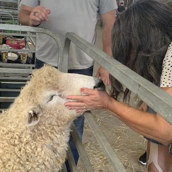 Ohio State Fair - The most relaxing thing to do at the fair. - Festivals Near Me - Columbus, Ohio