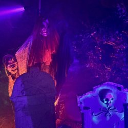 Scream In The Dark Haunted Maze