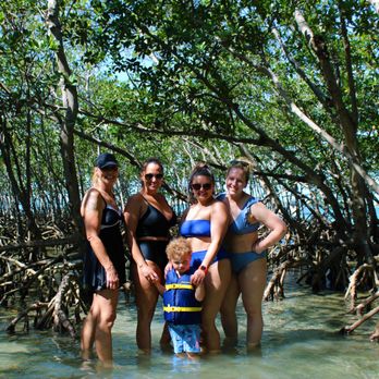 Treasure Coast River Cruises - Mangrove clearing at the sandbar - Boat Tours Near Me Treasure Coast River Cruises - Mangrove clearing at the sandbar - Boat Tours Near Me