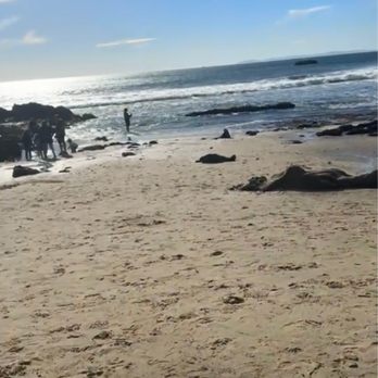 Heisler Park - So gorgeous - Parks Near Me - Laguna Beach, California Heisler Park - So gorgeous - Parks Near Me - Laguna Beach, California