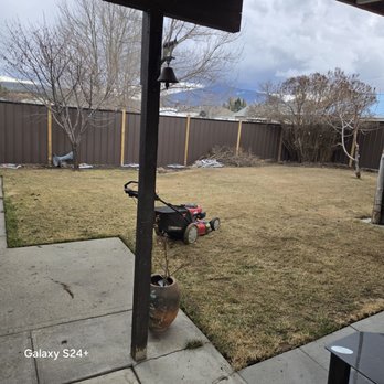 Darkwoods Contracting - Tree Services Near Me - Cranbrook, British Columbia