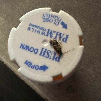 Raintree Apartments - Roach on my medicine bottle. - Apartments Near Me - Lexington, Kentucky