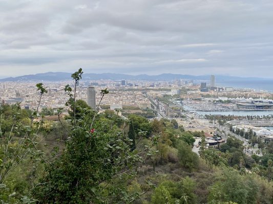 Circuit de Montjuïc by null