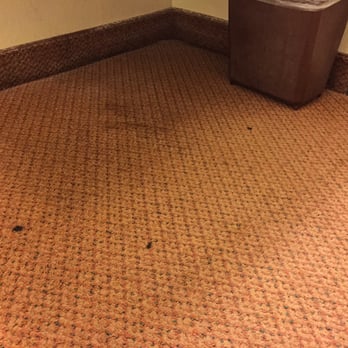 Super 8 by Wyndham Lamar - Cigarette burns on the carpet in a non-smoking room. - Hotels Near Me - Lamar, Colorado Super 8 by Wyndham Lamar - Cigarette burns on the carpet in a non-smoking room. - Hotels Near Me - Lamar, Colorado