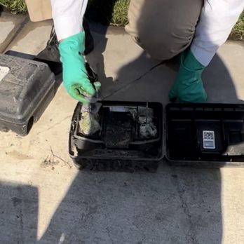 Orkin - Refusing to put fresh bait in a bait box hence the reason we are seeing a lot of activity in our yard - Pest Control Near Me - Stockton, California