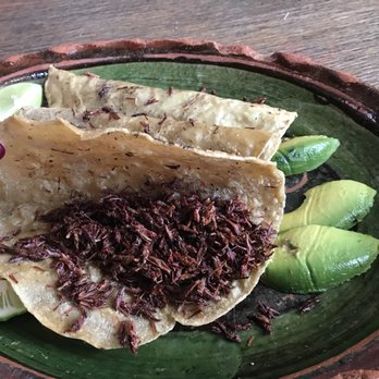 María y Su Bici - Tacos de chapulin. Cricket tacos. Good! - Oaxacan Near Me - Santiago de Querétaro, QUE María y Su Bici - Tacos de chapulin. Cricket tacos. Good! - Oaxacan Near Me - Santiago de Querétaro, QUE
